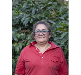 Café de Productrice  / Maria Dolores Zelaya - HONDURAS | MINI GRANJA DILMA |MONTECILLOS - WC - BIO