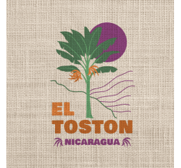 NICARAGUA | EL TOSTON " Honey Rouge " - DIPILTO | NUEVO SEGOVIA