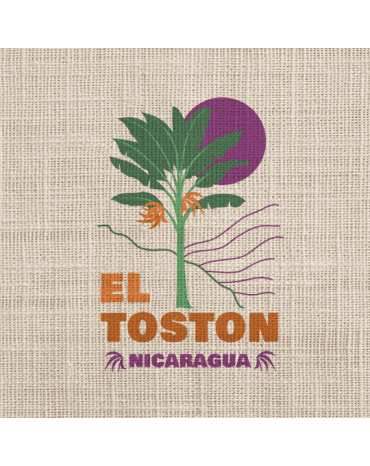NICARAGUA | EL TOSTON " Honey Rouge " - DIPILTO | NUEVO SEGOVIA