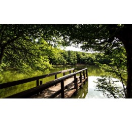 Blend Éphémère -  Foresta Umbra - CF / FCCO By Sail