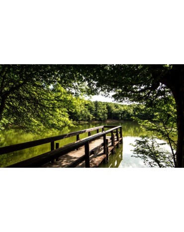 Blend Éphémère -  Foresta Umbra - CF / FCCO By Sail