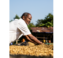 Cafés de Fôret / Mustafa MOHAMED ALI - ETHIOPIE | Kedamessa - Mana Mufti | GOMMA| JIMMA - Honey- BIO