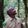 Cafés de Fôret / Mustafa MOHAMED ALI - ETHIOPIE | Beshasha Badiya | GERA| JIMMA - BIO