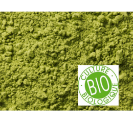 Thè Vert biologique de Chine Matcha "Taishan" sachet de 100gr