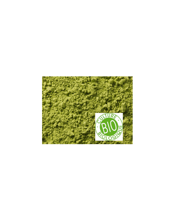 Thè Vert biologique de Chine Matcha "Taishan" sachet de 100gr Thè Vert biologique de Chine Matcha "Taishan" sachet de 100gr