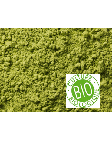 Thè Vert biologique de Chine Matcha "Taishan" sachet de 100gr