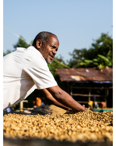 Cafés de Fôret / Mustafa MOHAMED ALI - ETHIOPIE | Kedamessa - Mana Mufti | GOMMA| JIMMA - Honey- BIO
