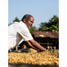 Cafés de Fôret / Mustafa MOHAMED ALI - ETHIOPIE | Kedamessa - Mana Mufti | GOMMA| JIMMA - Honey- BIO