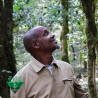 Cafés de Fôret / Mustafa MOHAMED ALI - ETHIOPIE | Kedamessa - Mana Mufti | GOMMA| JIMMA - Honey- BIO