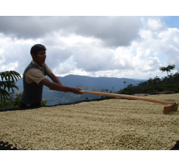 Bolivie - La Paz - Yungas - AYMARA - Grade 1 - Lavé