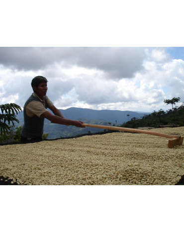 Bolivie - La Paz - Yungas - AYMARA - Grade 1 - Lavé