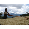 Bolivie - La Paz - Yungas - AYMARA - Grade 1 - Lavé