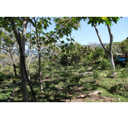 Mexique - Chiapas - SUEÑO - Lavé - Deca Mountain Water