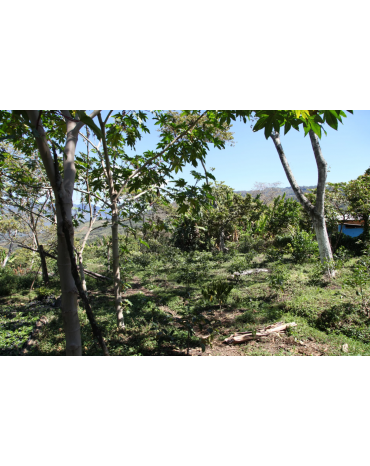 Mexique - Chiapas - SUEÑO - Lavé - Deca Mountain Water
