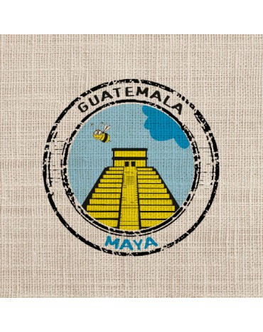 Guatemala - MAYA - Huehuetenango | SHB - EP